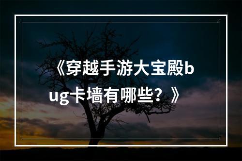 《穿越手游大宝殿bug卡墙有哪些？》