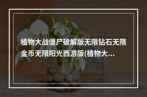 植物大战僵尸破解版无限钻石无限金币无限阳光西游版(植物大战僵尸破解版无限钻石)