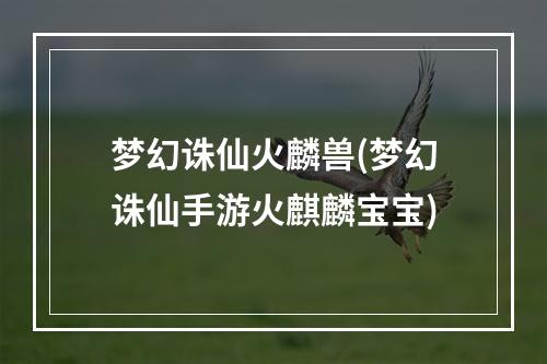 梦幻诛仙火麟兽(梦幻诛仙手游火麒麟宝宝)