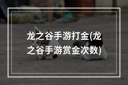 龙之谷手游打金(龙之谷手游赏金次数)