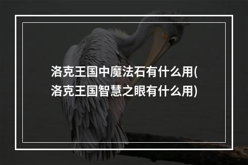 洛克王国中魔法石有什么用(洛克王国智慧之眼有什么用)