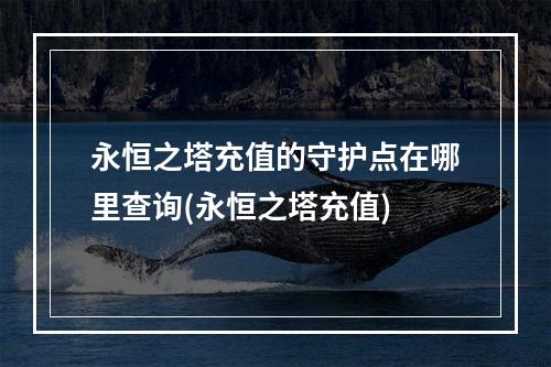 永恒之塔充值的守护点在哪里查询(永恒之塔充值)