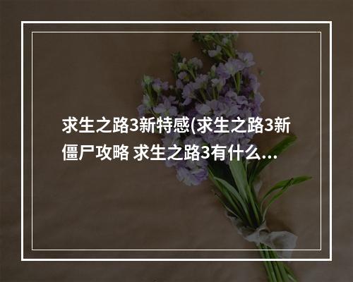 求生之路3新特感(求生之路3新僵尸攻略 求生之路3有什么新武器新僵尸)