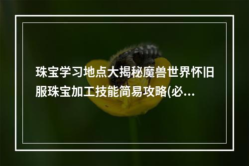 珠宝学习地点大揭秘魔兽世界怀旧服珠宝加工技能简易攻略(必知必会)