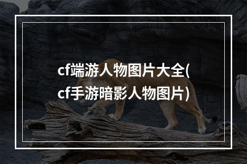 cf端游人物图片大全(cf手游暗影人物图片)