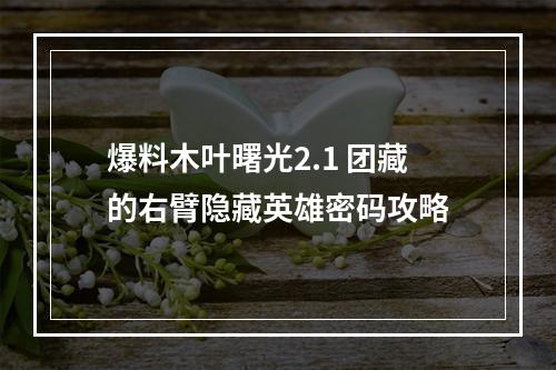 爆料木叶曙光2.1 团藏的右臂隐藏英雄密码攻略