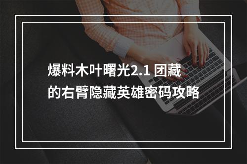 爆料木叶曙光2.1 团藏的右臂隐藏英雄密码攻略