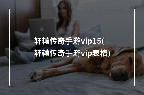 轩辕传奇手游vip15(轩辕传奇手游vip表格)