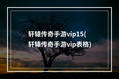 轩辕传奇手游vip15(轩辕传奇手游vip表格)