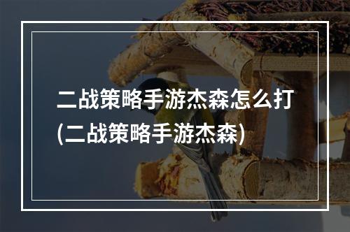 二战策略手游杰森怎么打(二战策略手游杰森)