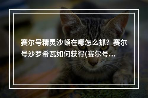 赛尔号精灵沙顿在哪怎么抓？赛尔号沙罗希瓦如何获得(赛尔号沙顿在哪)