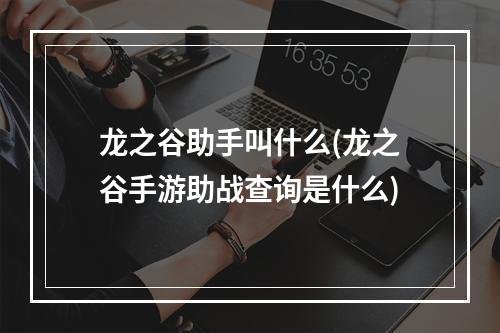 龙之谷助手叫什么(龙之谷手游助战查询是什么)