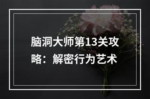 脑洞大师第13关攻略：解密行为艺术