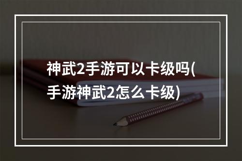 神武2手游可以卡级吗(手游神武2怎么卡级)