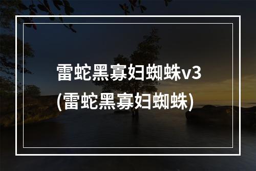 雷蛇黑寡妇蜘蛛v3(雷蛇黑寡妇蜘蛛)