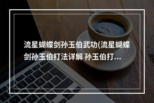 流星蝴蝶剑孙玉伯武功(流星蝴蝶剑孙玉伯打法详解 孙玉伯打法技巧)