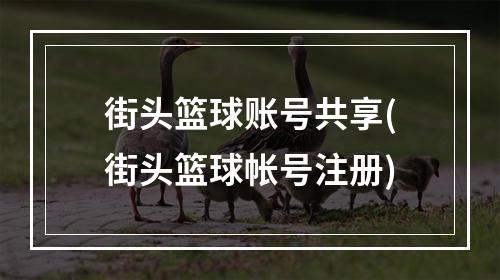 街头篮球账号共享(街头篮球帐号注册)