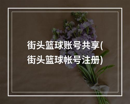 街头篮球账号共享(街头篮球帐号注册)