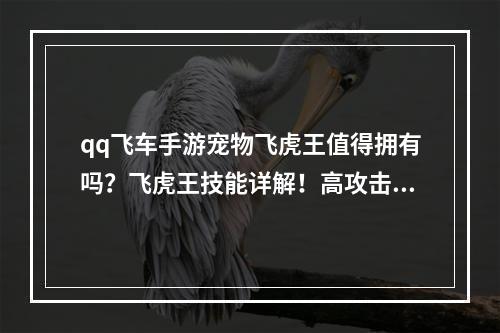 qq飞车手游宠物飞虎王值得拥有吗？飞虎王技能详解！高攻击+高生命值，值得拥有吗？