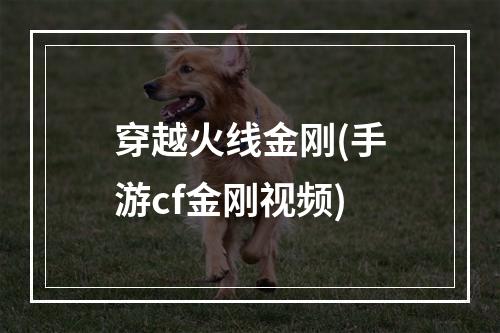 穿越火线金刚(手游cf金刚视频)