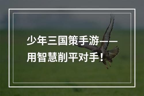 少年三国策手游——用智慧削平对手！