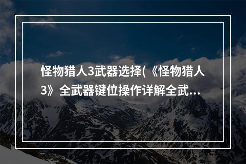 怪物猎人3武器选择(《怪物猎人3》全武器键位操作详解全武器通用操作)