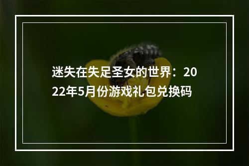 迷失在失足圣女的世界：2022年5月份游戏礼包兑换码