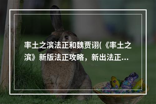 率土之滨法正和魏贾诩(《率土之滨》新版法正攻略，新出法正 形魏智好还是法正)