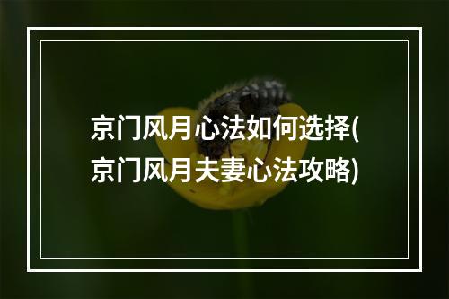 京门风月心法如何选择(京门风月夫妻心法攻略)