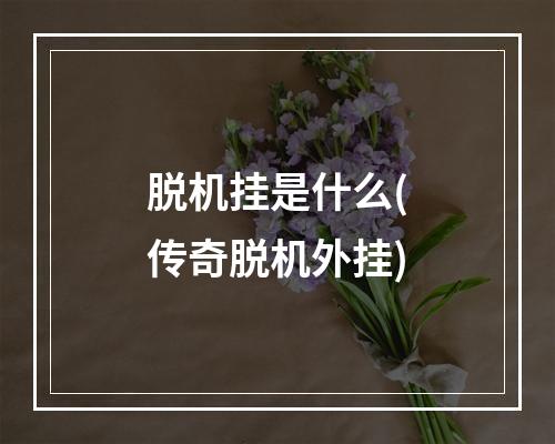 脱机挂是什么(传奇脱机外挂)