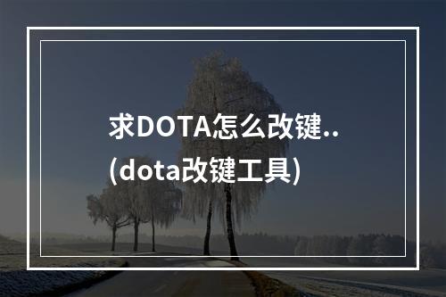 求DOTA怎么改键..(dota改键工具)