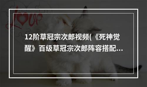 12阶草冠宗次郎视频(《死神觉醒》百级草冠宗次郎阵容搭配推荐)