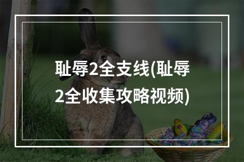 耻辱2全支线(耻辱2全收集攻略视频)