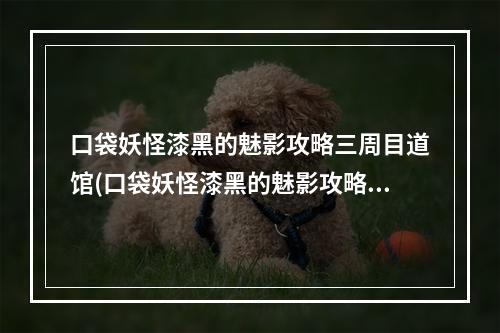 口袋妖怪漆黑的魅影攻略三周目道馆(口袋妖怪漆黑的魅影攻略三周目)