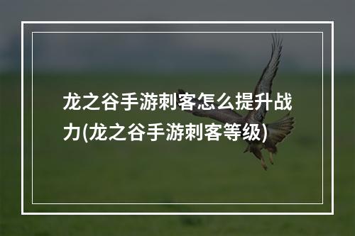 龙之谷手游刺客怎么提升战力(龙之谷手游刺客等级)