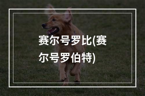 赛尔号罗比(赛尔号罗伯特)