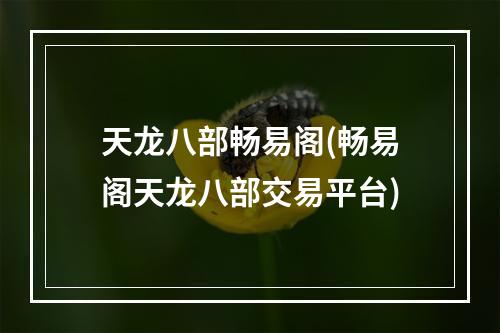 天龙八部畅易阁(畅易阁天龙八部交易平台)