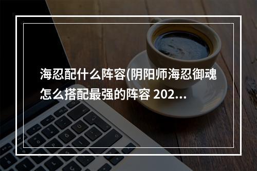 海忍配什么阵容(阴阳师海忍御魂怎么搭配最强的阵容 2022最新海忍御魂搭配)