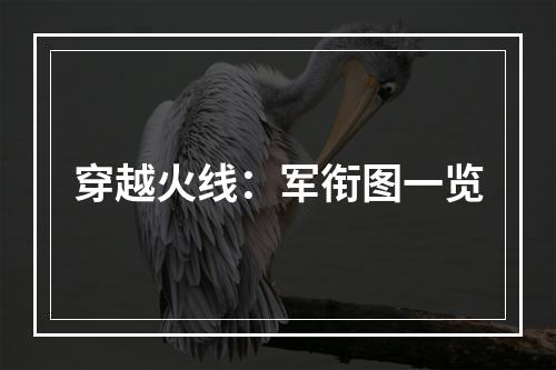 穿越火线：军衔图一览