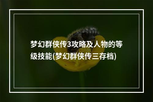 梦幻群侠传3攻略及人物的等级技能(梦幻群侠传三存档)