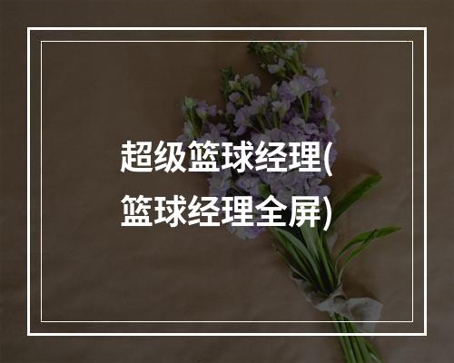 超级篮球经理(篮球经理全屏)