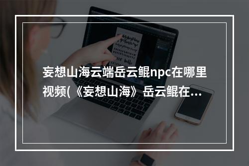 妄想山海云端岳云鲲npc在哪里视频(《妄想山海》岳云鲲在哪里 NPC岳云鲲位置一览 妄想山)