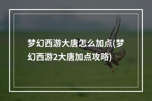 梦幻西游大唐怎么加点(梦幻西游2大唐加点攻略)