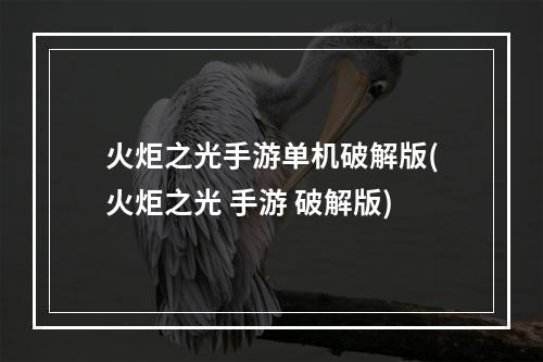 火炬之光手游单机破解版(火炬之光 手游 破解版)