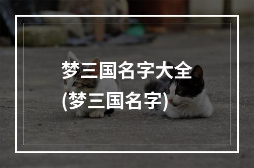 梦三国名字大全(梦三国名字)