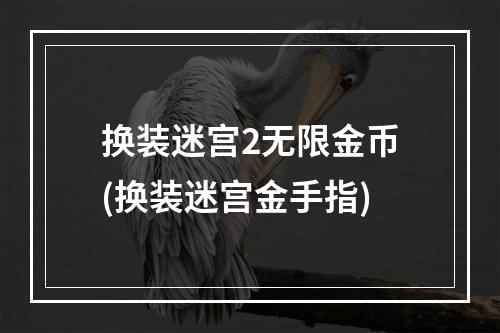 换装迷宫2无限金币(换装迷宫金手指)