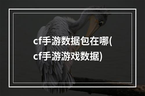 cf手游数据包在哪(cf手游游戏数据)