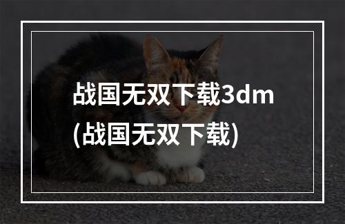 战国无双下载3dm(战国无双下载)