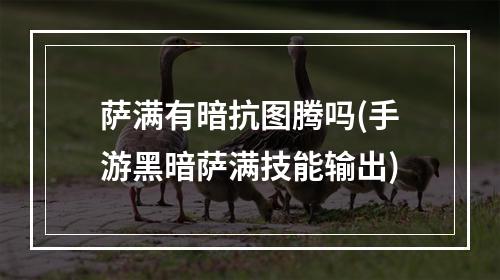 萨满有暗抗图腾吗(手游黑暗萨满技能输出)