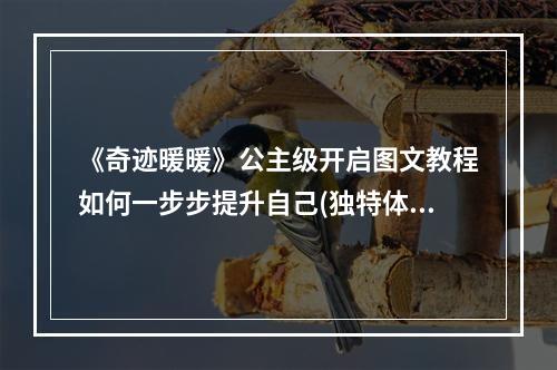 《奇迹暖暖》公主级开启图文教程如何一步步提升自己(独特体验)